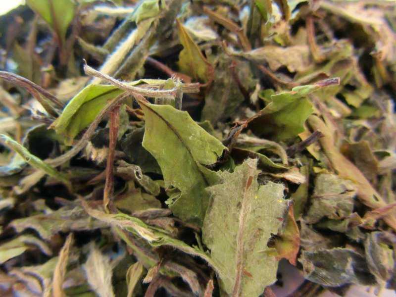 Pai Mu Tan Weißer Tee