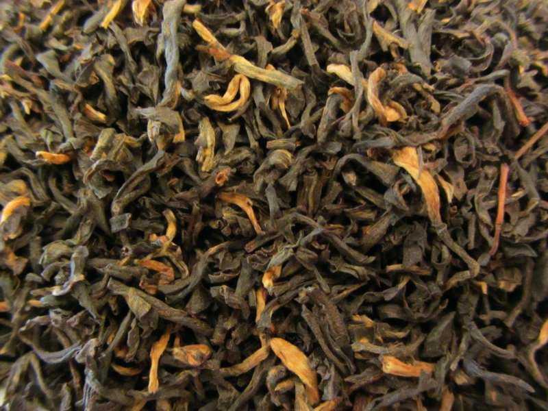 Mokalbary Golden Tippy