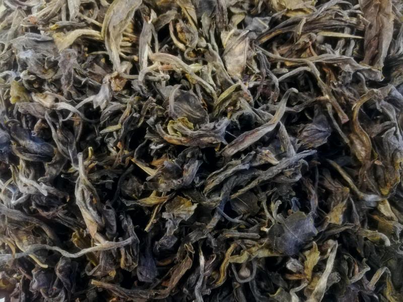 Tansania Usambara Premium